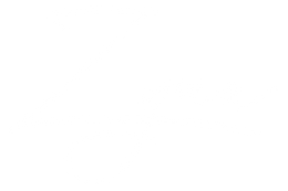 zynaofficial